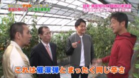 探偵！ナイトスクープ 動画 2024年8月23日 240823