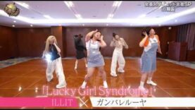 イッテQ!  動画 2024年8月18日 240818