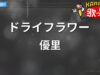 ＴＨＥカラオケ 動画 2024年9月15日 240915