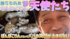 坂上どうぶつ王国 動画 2024年9月20日 240920