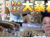 坂上どうぶつ王国 動画 2024年9月27日 240927