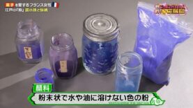 世界！ニッポン行きたい人応援団 動画 2024年10月14日 241014