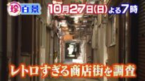ナニコレ珍百景 動画 2024年10月27日 241027