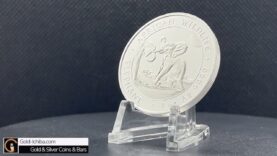 ワイルドライフ 動画 2024年10月28日 241028