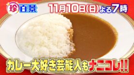 ナニコレ珍百景 動画 2024年11月10日 241110