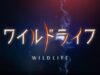 ワイルドライフ 動画 2024年11月11日 241111