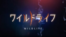 ワイルドライフ 動画 2024年11月11日 241111