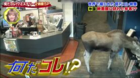 世界の何だコレ！？ミステリー 動画 2024年11月27日 241127