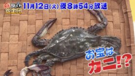 開運！なんでも鑑定団 動画 2024年11月5日 241105