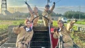 種から植えるTV 動画 2024年11月10日 241110