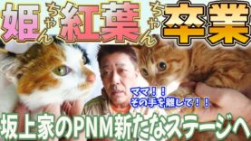 坂上どうぶつ王国 動画 2024年12月6日 241206