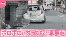 news every. 動画 2025年2月18日 250218