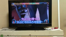 タクシー運転手さん 一番うまい店に連れてって！ 動画 2025年3月30日 250330