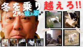 坂上どうぶつ王国 動画 2025年2月28日 250228