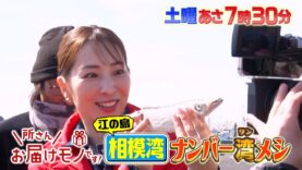 所さんお届けモノです！ 動画 2025年3月1日 250301