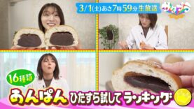 サタデープラス 動画 2025年3月15日 250315