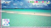 朝だ！生です旅サラダ 動画 2025年3月15日 250315