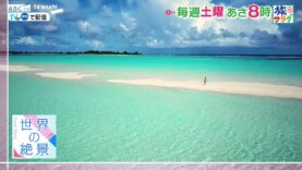 朝だ！生です旅サラダ 動画 2025年3月15日 250315