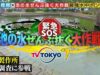 緊急ＳＯＳ！池の水ぜんぶ抜く大作戦 動画 2025年3月16日 250316