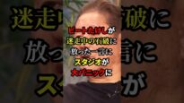 ビートたけしのＴＶタックル 動画 2025年3月16日 250316