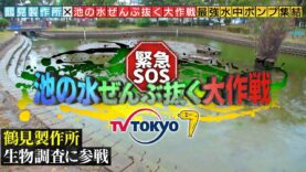 緊急ＳＯＳ！池の水ぜんぶ抜く大作戦 動画 2025年3月16日 250316