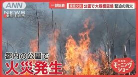 羽鳥慎一モーニングショー 動画 2025年3月18日 250318