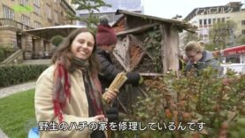 世界ふれあい街歩き 動画 2025年3月18日 250318