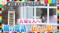 ミヤネ屋 動画 2025年3月19日 250319