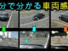 運転席からの風景 動画　 絶景の桜 2025年3月22日 250322