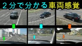 運転席からの風景 動画　 絶景の桜 2025年3月22日 250322