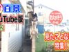 ナニコレ珍百景 動画 2025年3月23日 250323