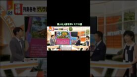 ミヤネ屋 動画 2025年3月26日 250326