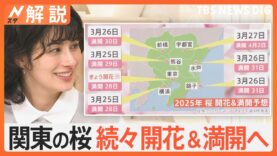 Ｎスタ 動画 2025年3月26日 250326