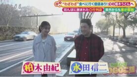 土曜はナニする！？ 動画 2025年3月29日 250329