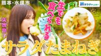 朝だ！生です旅サラダ 動画 2025年3月29日 250329