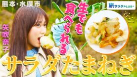 朝だ！生です旅サラダ 動画 2025年3月29日 250329