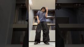 プロフェッショナルランキング 動画 2025年3月3日 250303