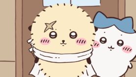 めざましテレビ 動画 2025年3月5日 250305