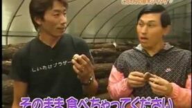 満天☆青空レストラン 動画 2025年3月8日 250308