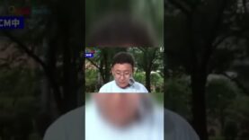 めざましどようび 動画 2025年3月8日 250308