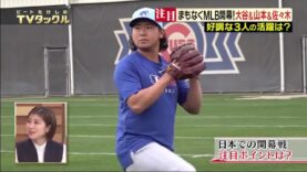 ビートたけしのＴＶタックル 動画 2025年3月9日 250309