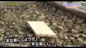 ザ!鉄腕!DASH!! 動画 2025年3月9日 250309