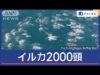 スーパーJチャンネル 動画 2025年3月4日 250304
