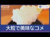 スーパーJチャンネル 動画 2025年3月6日 250306