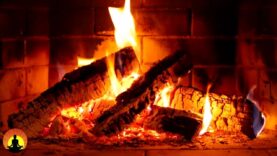 MUSIC FAIR 動画 2025年3月29日 250329