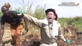 イッテQ! 動画 2025年3月23日 250323