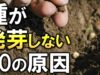 種から植えるTV 動画 2025年3月2日 250302