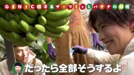 種から植えるTV 動画 2025年3月23日 250323