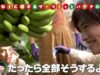 種から植えるTV 動画 2025年3月9日 250309