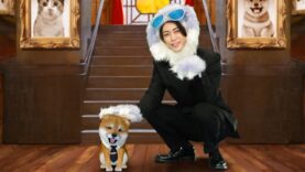 世界を救う！ワンにゃフル物語 ～柴と三毛と亀梨くん～ 動画 2025年4月16日 250416